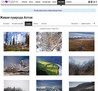 Проект "Живая природа Алтая" запущен на интернет-путеводителе "Смородина"