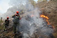 В Алтайском заповеднике работает группа пожаротушения