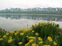 Заповедный мир озера Джулукуль в фотографиях Валентина Смирнова