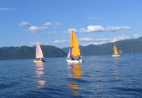 Проблемы и перспективы развития парусного туризма и яхтенного спорта на Телецком озере обсудили в Горно-Алтайске
