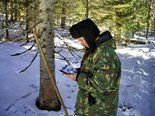 Кислицын И.П. на стационаре у Яйлю замеряет глубину снега_Фото В.А. Яковлев