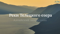 «Реки Телецкого озера». Новый цикл фильмов об Алтайском заповеднике